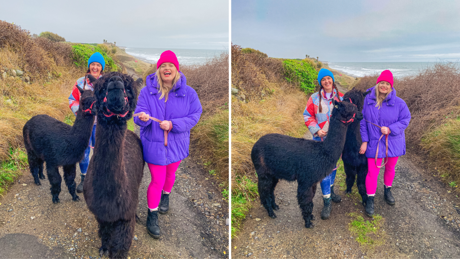 Tara Povey takes Cranfield Aplacas out for a walk